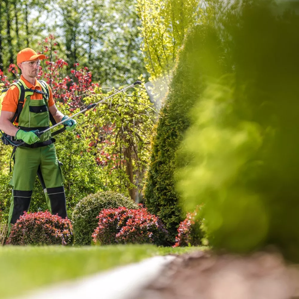Berkebun Profesional